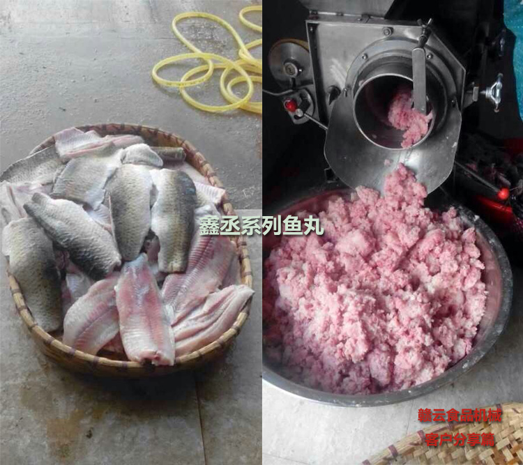 客戶訂購的300不銹鋼魚肉采肉機采取的新鮮魚肉