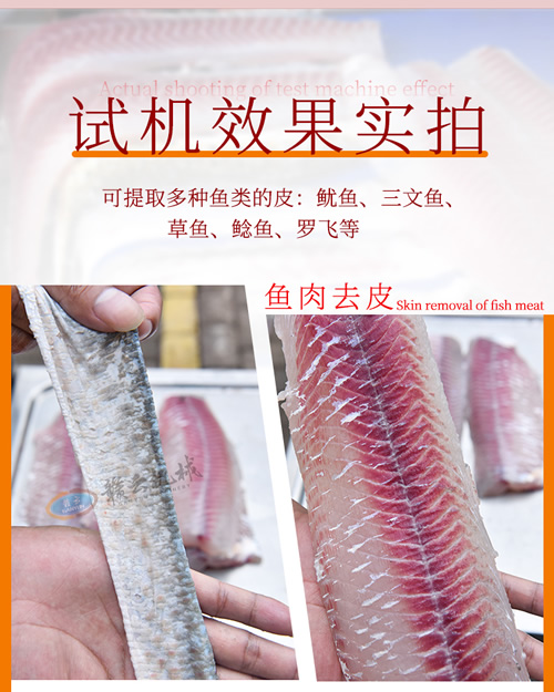 去魚(yú)皮機(jī)分離魚(yú)皮實(shí)拍效果圖 去魚(yú)皮機(jī)分離魚(yú)皮實(shí)拍效果圖